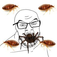 angry animal animated bug cockroach eating full_body glasses leg mustache open_mouth soyjak spider stubble variant:feraljak // 510x510 // 252.7KB