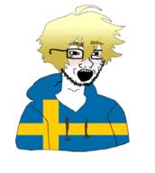 blush clothes country flag glasses hair hoodie open_mouth soyjak stubble sweden twink twinkjak variant:classic_soyjak yellow_hair // 828x924 // 306.0KB