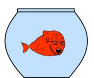 animal fish fish_tank glasses open_mouth soyjak stubble variant:classic_soyjak water // 674x557 // 5.0KB