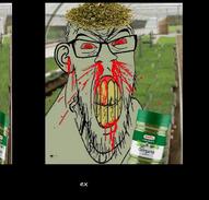 angry animated blood bloodshot_eyes clenched_teeth ear glasses herb irl_background melobyte music mustache oregano plant red_eyes sound soyjak stubble variant:feraljak vein video yellow_teeth // 752x720, 131s // 2.1MB