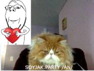 an animal arm cat glasses hand heart holding_heart holding_object real_cat smile soyjak soyjak_party stubble subvariant:wholesome_soyjak variant:gapejak wholesome // 800x600 // 703.3KB
