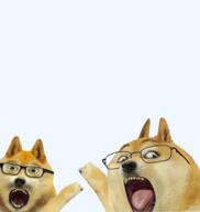 animal dog doge ear glasses leg meme open_mouth pointing pointy_ears soy_parody soyjak stubble tongue variant:two_pointing_soyjaks // 567x598 // 172.9KB